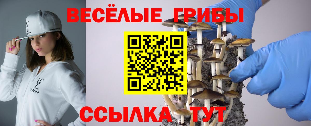 Абакан  Галлюциногенные грибы Magic Shrooms  Вход с VPN 